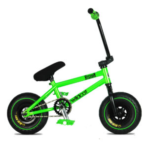 minibmx-amazonB1 minibmx-amazonB1